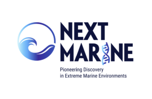 Nm Sticker 300x196